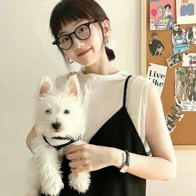 合法伴侣